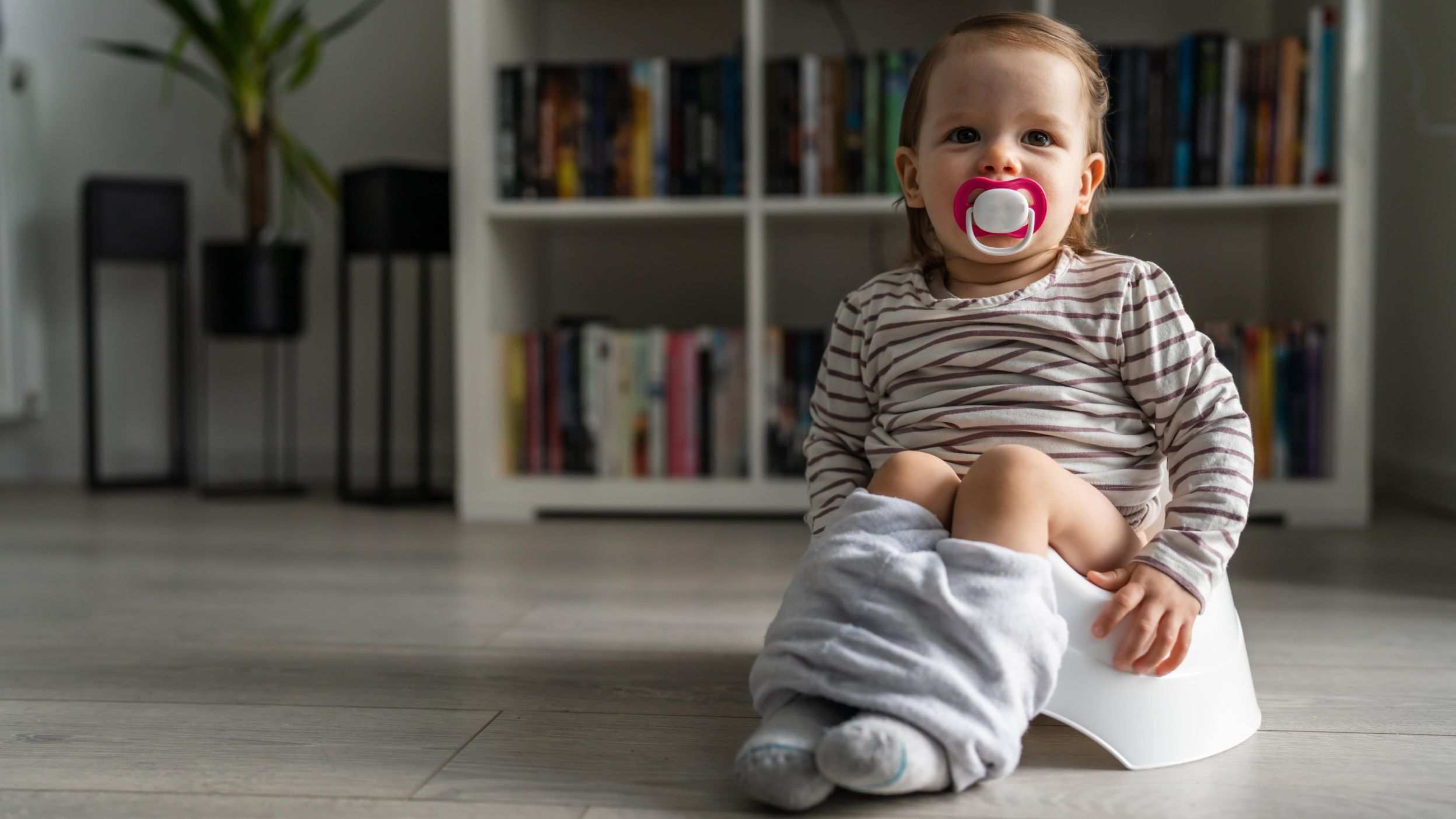 Toddler sitting on a potty in the living room