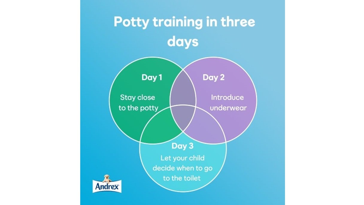 Infographic of potty training in a day