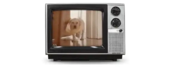 Puppy ad on an old television set