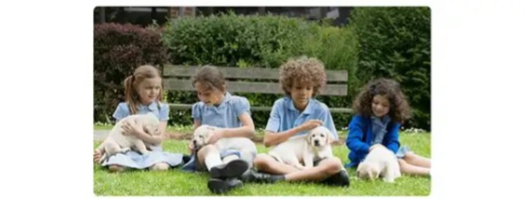 Children sitting on a lawn with Labrador puppies on their laps