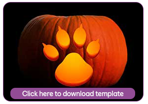 Pumpkin carved with puppy paw