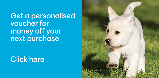 Personlised voucher with andrex puppy